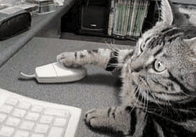 Aller ma cocine,je t'attend sur msn!..Mais ou es tu?!