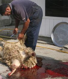 Un autre 3id sans ma famille....WWaaaa333 je veus revenir :(