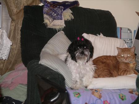 Princess Bella&Prince Amor